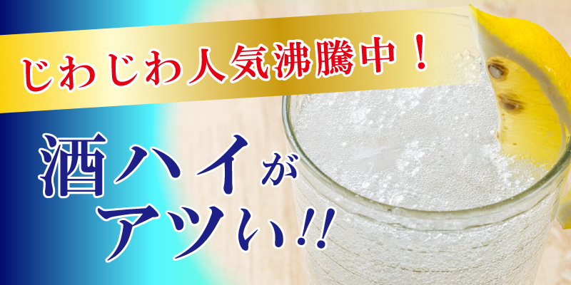 酒ハイ（ECtopバナー小）.jpg