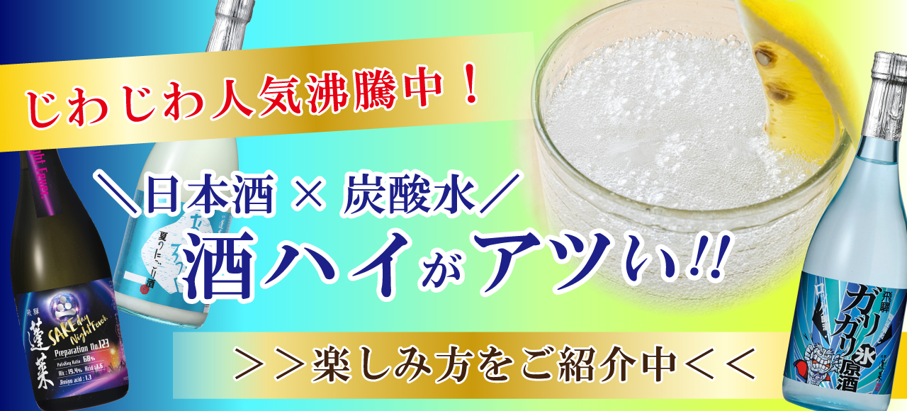 酒ハイ（ECtopバナー大）-02.jpg